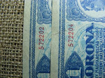 1 korona bankjegy, 1920, sorszám közeli pár