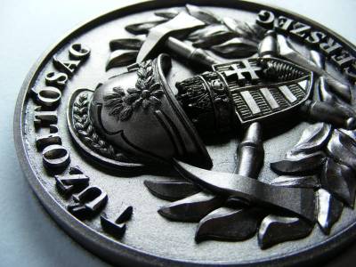Tűzoltóság Zalaegerszeg 3D üvegkerámia plakett, díszdobozban