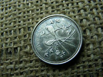 Belize 5 cent, 1974, ezüst, PP