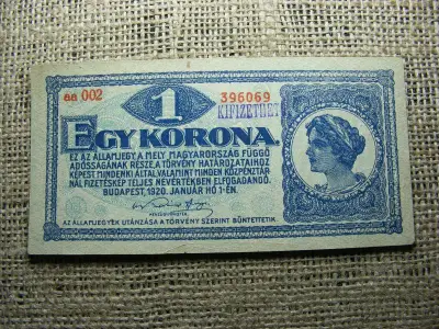 1 korona, 1920, felülbélyegzett