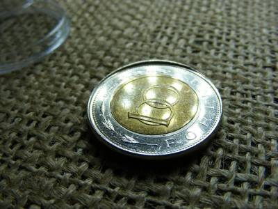 100 forintos érme, 2019, verdehibás, ritka