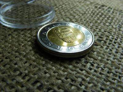 100 forintos érme, 2019, verdehibás, ritka