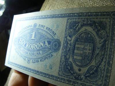 1 korona bankjegy, 1920