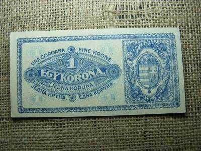 1 korona bankjegy, 1920