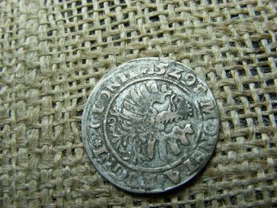Ezüst garas, 1529, Zsigmond