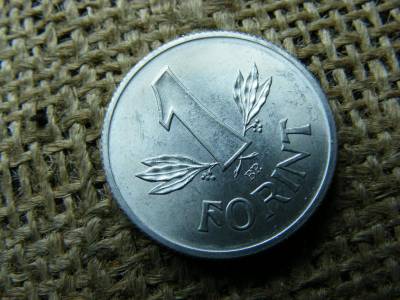 1 forintos érme, 1973