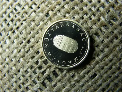 1 forintos érme, 2007, PP