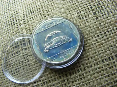 100 forintos érme, 1985, Mocsári Teknős, BU