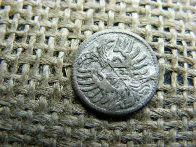 Ezüst 1/3 pfennig, 1669, Habsburg-kori érme