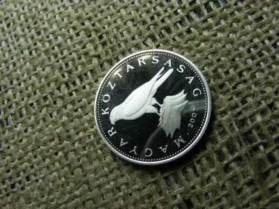 50 forintos érme, 2007, PP