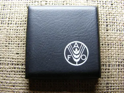 100 forintos érme, 1981, FAO, tokban