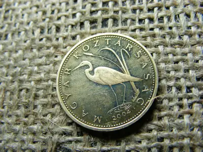 5 forintos érme, 2004, PP