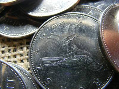 50 forintos érme, 2020, Lebegő sólyom, ritkább