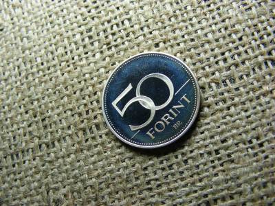 50 forintos érme, 2005, PP