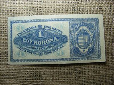1 korona bankjegy, 1920