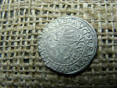 Ezüst 1/2 groat, 1550, Lengyelország, Zsigmond II