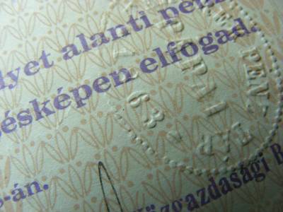 Pápa 20 korona, 1919, szükségpénz