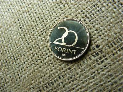 20 forintos érme, 2005, PP
