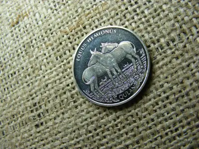 Kazahsztán 100 Tenge 2021, Qulan