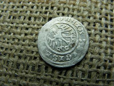 Zsigmond, ezüst 1/2 garas, 1510