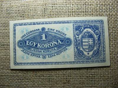 1 korona bankjegy, 1920