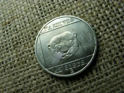 100 forintos érme, 1985, Vidra