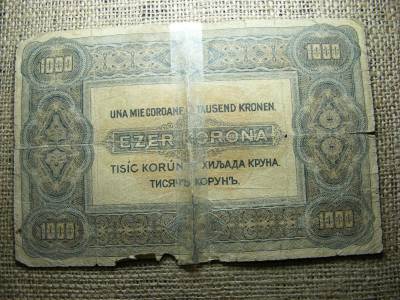 1000 korona, 1920, Magyar Királyság