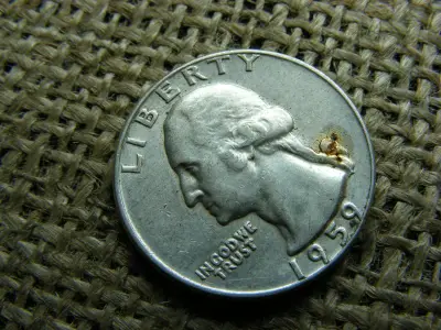 USA 1/4 dollár, 1959 D, Washington Quarter