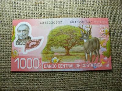 Costa Rica 1 mil colones, 2009, UNC, (A1)