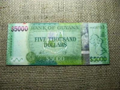 Guyana 5000 dollár, 2013, VF- (A1)