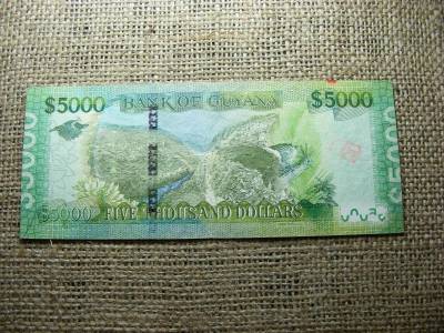 Guyana 5000 dollár, 2013, VF- (A1)