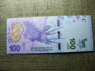 Argentína 100 peso, 2018-2019, UNC
