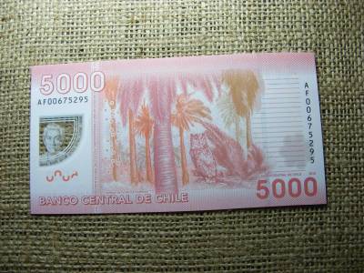 Chile 5000 peso, 2012, UNC