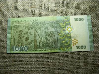 Szíria 1000 fontos bankjegy, 2013, UNC