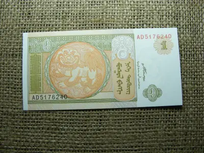 Mongólia 1 tugrik, 2008, UNC, (A3)