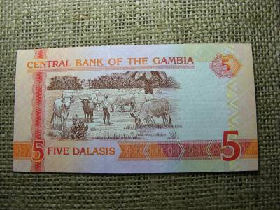 Gambia 5 dalasis bankjegy, 2013, UNC, (A5)