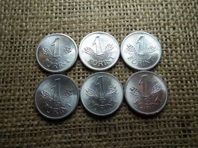 1 forint, 1979-1984, verdefényes sor