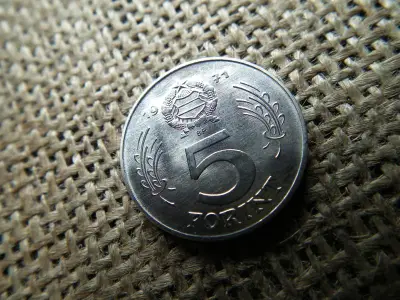 5 forintos érme, 1971