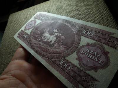 100 forintos bankjegy, 1984, fordított hátlapi alapnyomat