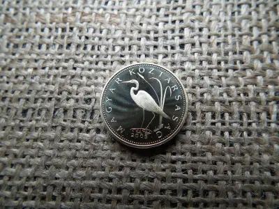 5 forintos érme, 2009, PP