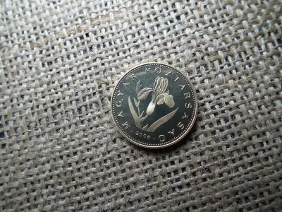 20 forintos érme, 2008, PP