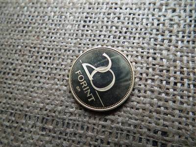 20 forintos érme, 2004, PP