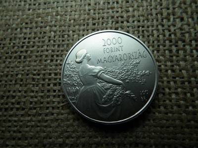 2000 forintos érme, 2015, Csók, BU