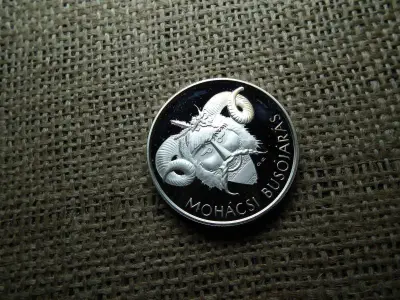 Ezüst 5000 forint, 2011, Mohácsi Busójárás