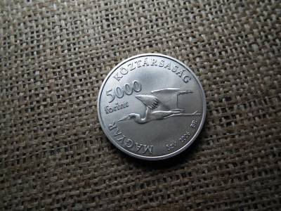Ezüst 5000 forint, 2006, Fertő, BU