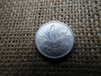 1 forintos érme, 1989, verdehibás, sugaras