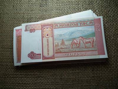 Mongólia 20 tögrög, 2002-2020, hajtatlan