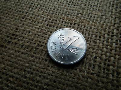 1 forint 1978, ritka, verdehibás, sugaras