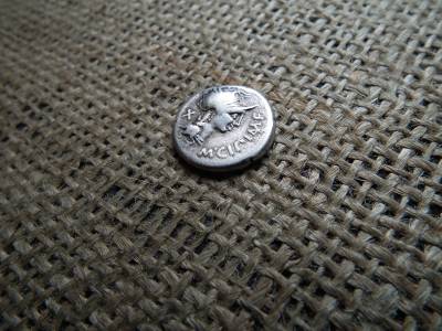 Római Köztársaság , Manius Cipius , Denarius ( Kr. e. 115-114  ) dénár , Róma 