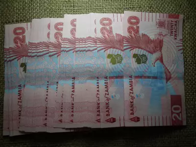 Zambia 20 kwacha 2024 - 2025 új  , UNC - aUNC hajtatlan ! Ár / db ! Több darab esetén sorszámkövetőben kapja a vevő 